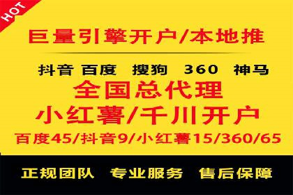 不同平台的SEM广告投放比较及成功案例分析